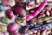Tasty! 163 images, a Food & Drink Photo by Chikovnaya (Thumbnail 2 of 20)