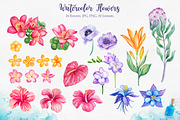 Tropical. Watercolor illustrations., a Decorative Illustration by AlexGreenArt (Thumbnail 6 of 12)