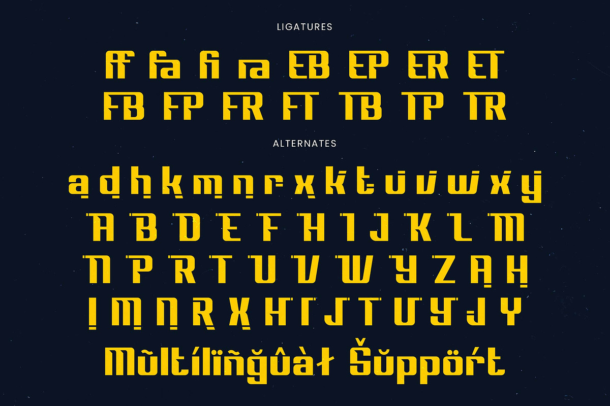 Drivery Enrich Futuristic Font, a Sans Serif Font by timelesstype.co (Photo 19 of 20)