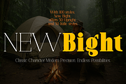 New Bight-Serif Font, a Serif Font by artisans (Thumbnail 1 of 6)
