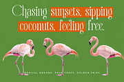 Quiselle Elegant Display Serif, a Serif Font by timelesstype.co (Thumbnail 2 of 20)