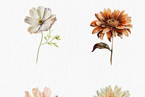 Neutral Flower Watercolor Clipart