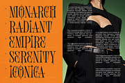 Shliterin Elegant Condensed Serif, a Serif Font by timelesstype.co (Thumbnail 8 of 15)