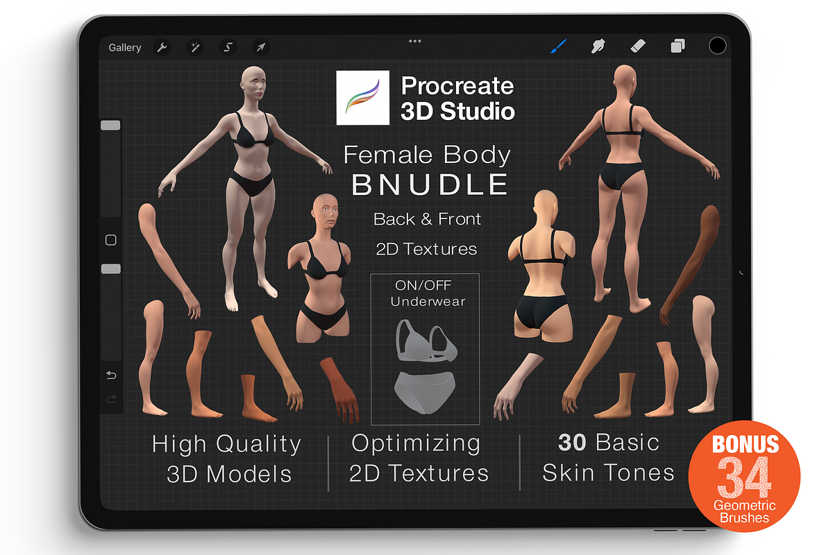 Procreate 3d Model -Female Bundle, a Characters & Person 3D Model by Procreate3dStudio (Photo 1 of 8)