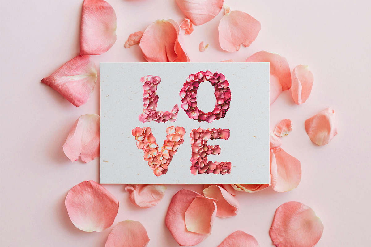Petal OTF Font, a Font by ink drop (Photo 6 of 7)