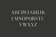 Agathias Stenchy Modern Serif Font, a Serif Font by UICreative (Thumbnail 6 of 9)