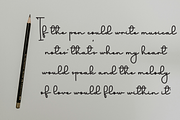 Calligraphy Present, a Handwritten Font by FreshTypeINK (Thumbnail 3 of 8)