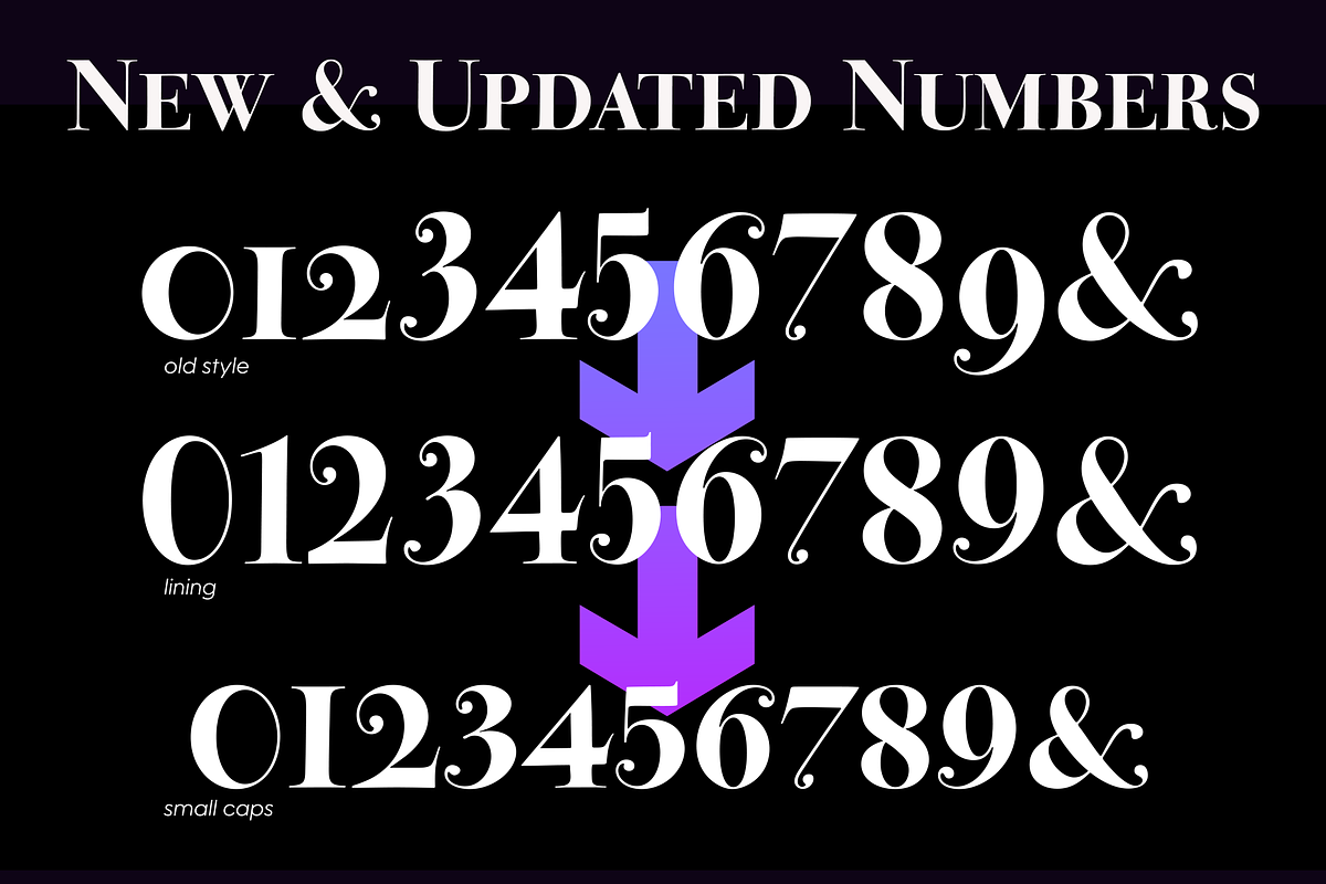 Bodoni Palazzo, a Font by California Type Foundry (Photo 8 of 9)