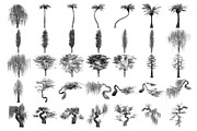 Tree Brushes - Willow Edition, a Brush Add-On by xresch (Thumbnail 14 of 27)