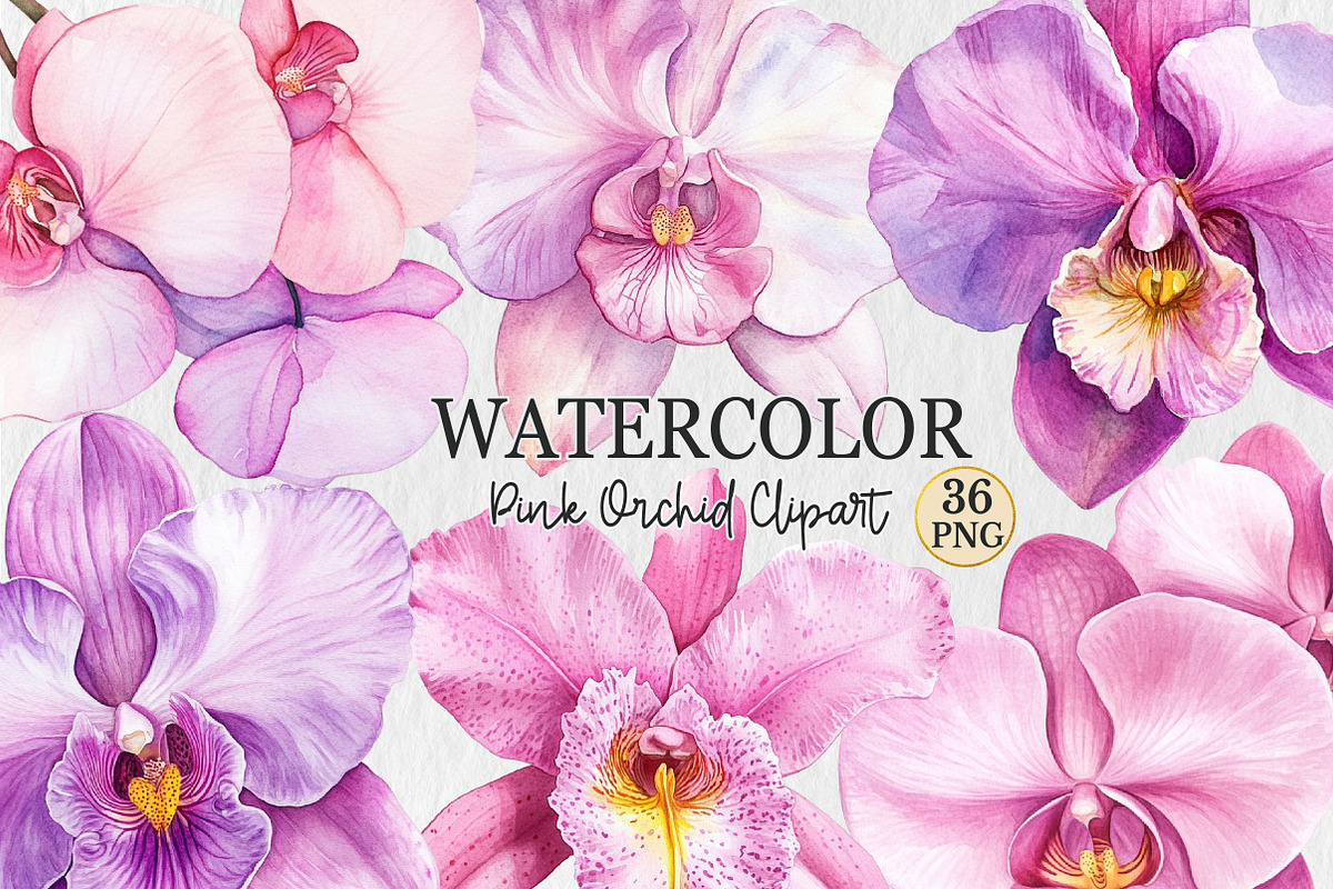 Watercolor Pink Orchid Clipart, a Seasonal Illustration by Rose Art (Photo 1 of 6)