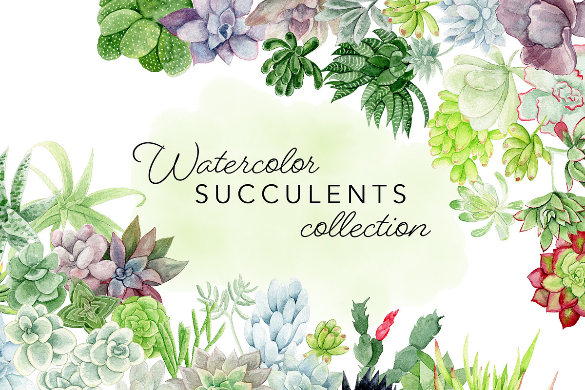 Watercolor Succulent Illustrations, an Illustration by One and Only Paper (Photo 1 of 6)