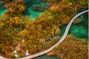 Aerial top down view of a wooden, a Nature Photo by Nature and travel