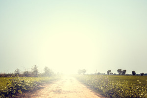 Landscape of road way in summer