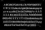 BN Killwit, a Serif Font by Bnick (Thumbnail 13 of 13)