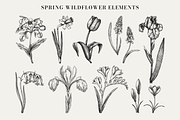 Spring Wildflower Vintage Vector Set, a Seasonal Illustration by Yevheniia (Thumbnail 3 of 9)