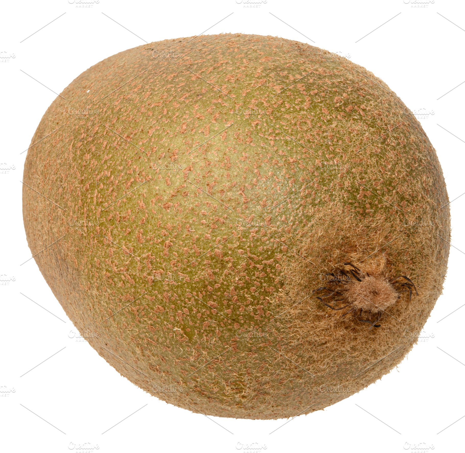 Whole kiwi fruit on isolated background, healthy food., a Food & Drink Photo by ndanko
