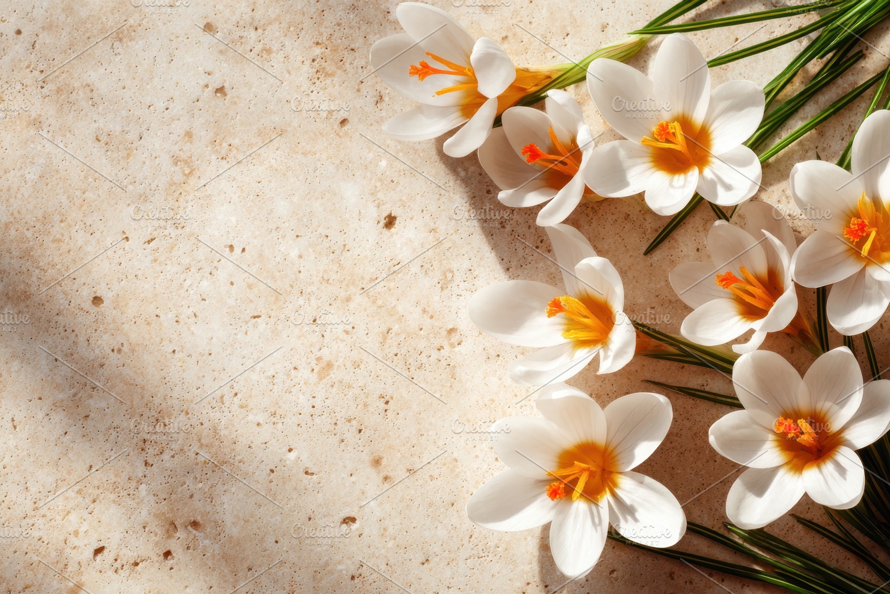 Beautiful flowers on beige background, a Nature Photo by AlyaAnd