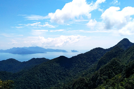 Tropical Rainforest Island