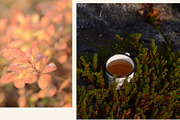 Camping Mug Photo Mockups Set, a Cups & Container Mockup by NataliArkushArt (Thumbnail 7 of 8)
