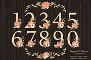 Peach Floral Numbers With Vectors, an Illustration by Amanda Ilkov (Thumbnail 2 of 5)