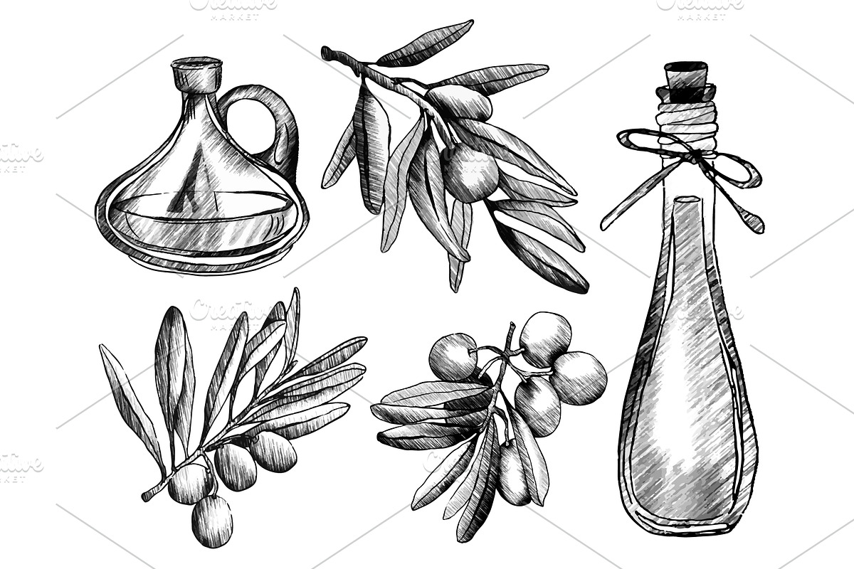 Olive branch sketch with oil bottles, a Food Illustration by art PVP - market