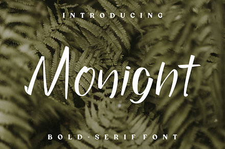 Monight, a Serif Font by lelevien