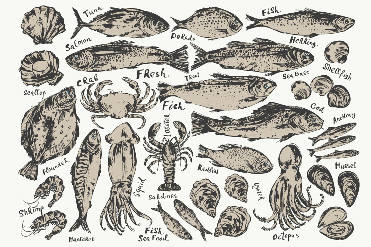 Fish and seafood sketches, a Food Illustration by katya.bogina (Photo 2 of 3)