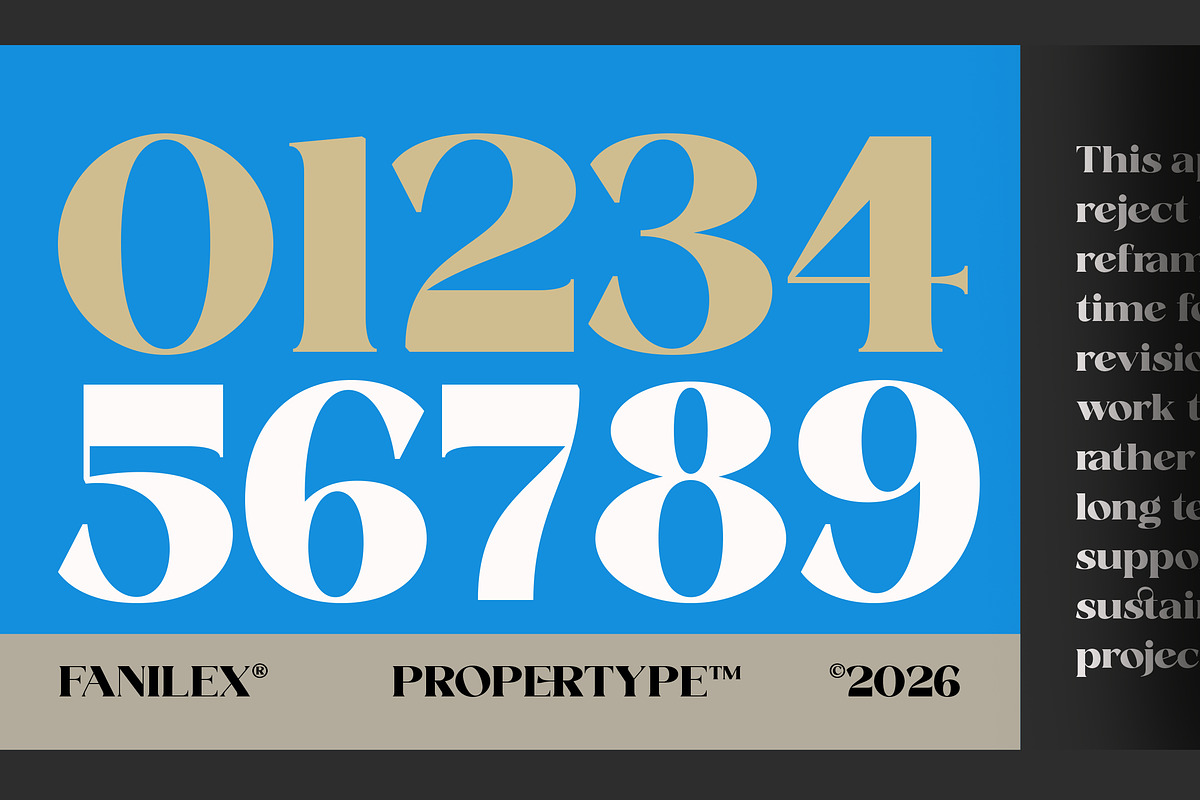 Fanilex, a Serif Font by Propertype (Photo 8 of 16)