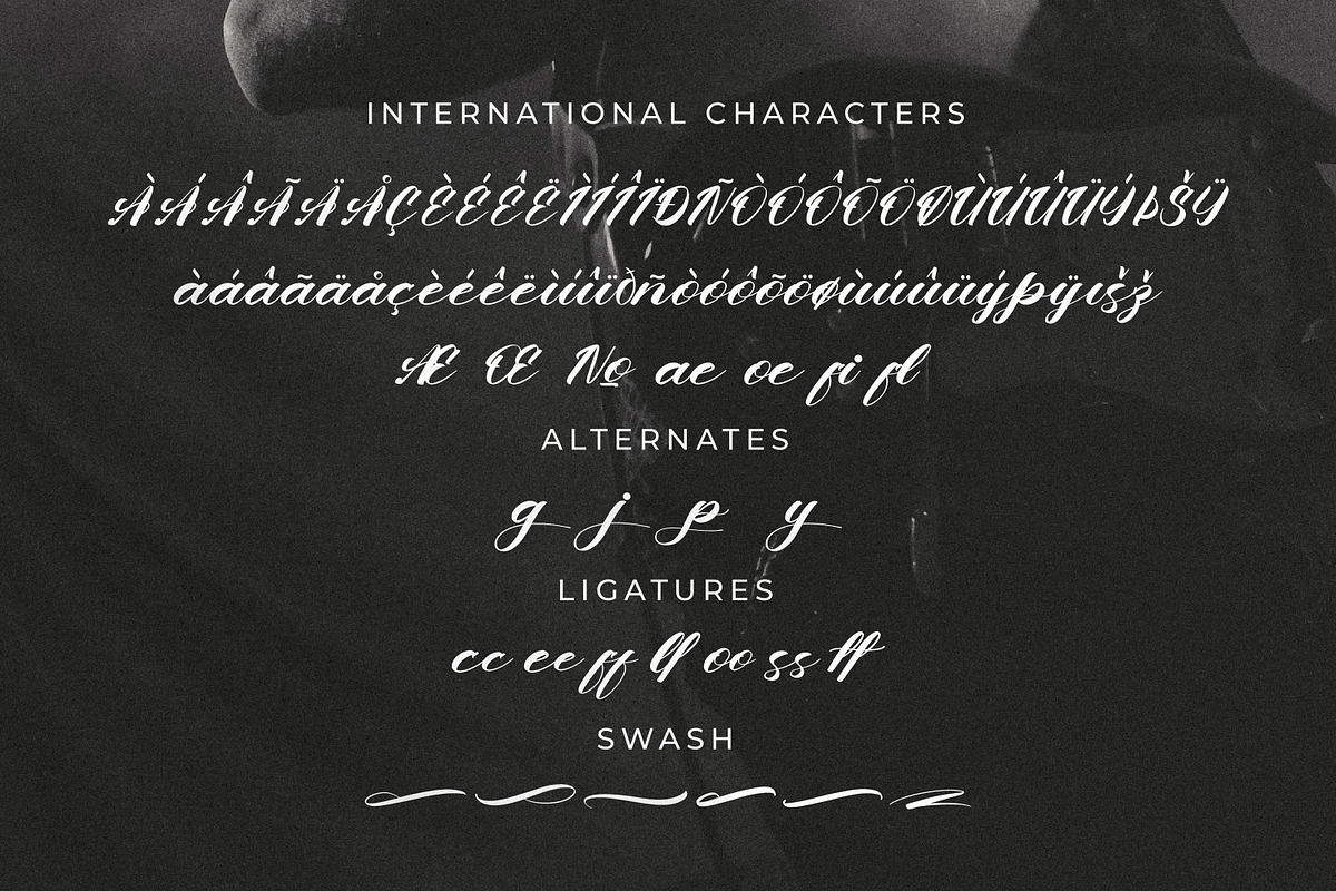 Chandeer Holestter, a Script Font by Goresan Studio (Photo 12 of 15)