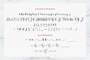 Secillia font, a Script Font by Burhan Afif (Thumbnail 8 of 9)