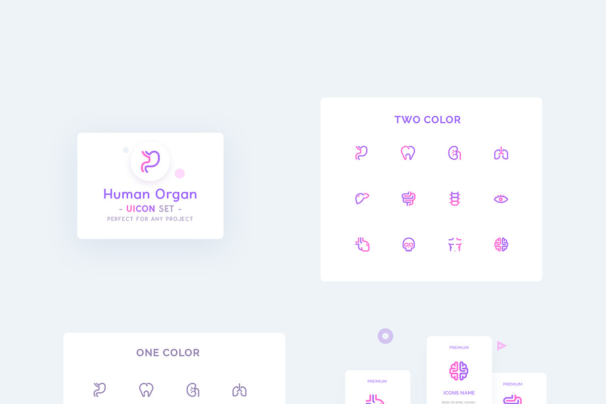 Anatomy - Human Organ Icons Set, an Icon by Creative Corner
