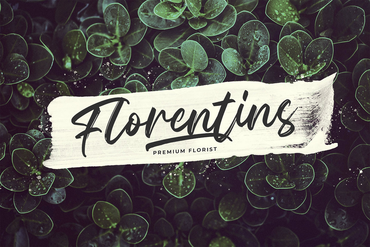 Celline Fram - Textured Brush Font, a Script Font by StringLabs (Photo 4 of 14)