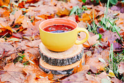 Autumn Tea & Rustic Details, a Food & Drink Photo by pictures for you (Thumbnail 3 of 11)