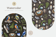 Forest Birds Watercolor Set, an Animal Illustration by AnitaPol (Thumbnail 19 of 26)