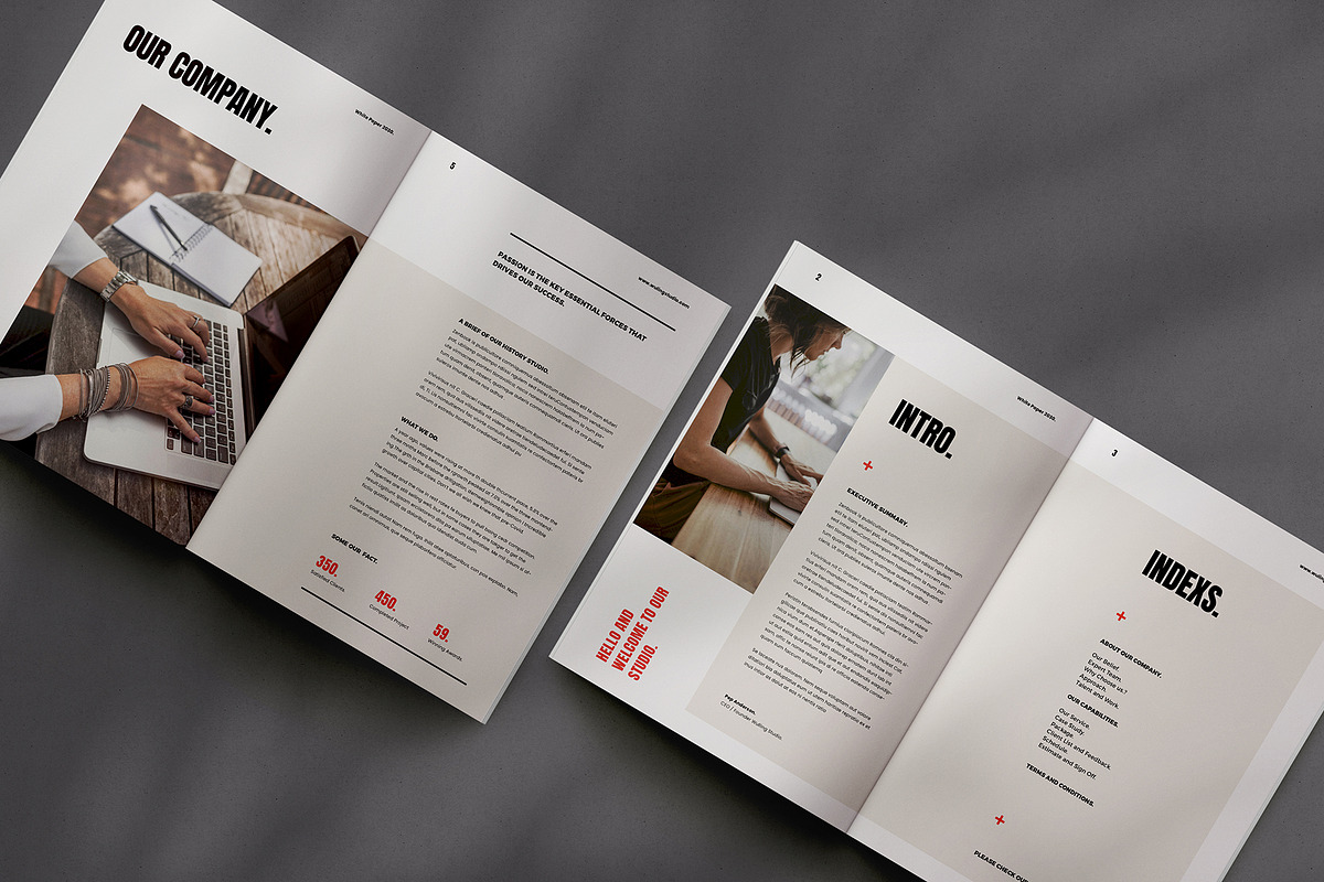 White Paper, a Brochure Template by Occy Design (Photo 2 of 6)