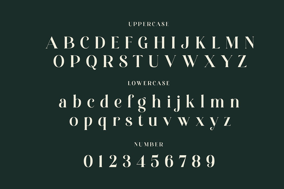 Quning - Elegant Serif Font, a Serif Font by Luna Shop (Photo 3 of 9)