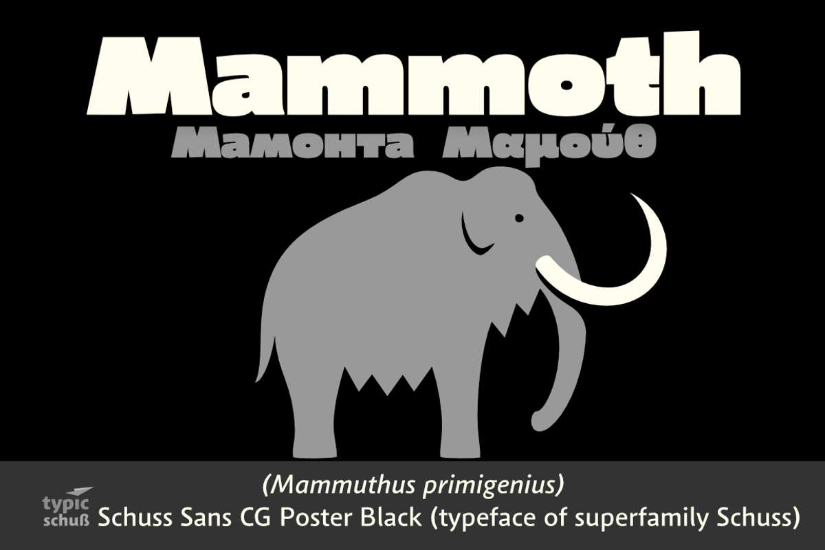 Schuss Sans CG Poster Black, a Sans Serif Font by typic schuss (Photo 10 of 15)