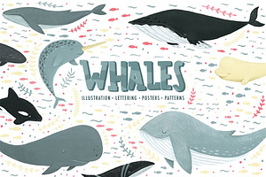 WHALES & another ocean creatures