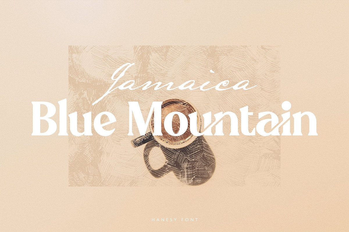The Modern Typography Bundle, a Serif Font by Ivan Rosenberg (Photo 32 of 58)