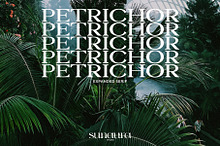 Petrichor - Expanded Serif