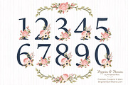Navy & Blush Floral Numbers, an Illustration by Amanda Ilkov (Thumbnail 1 of 5)
