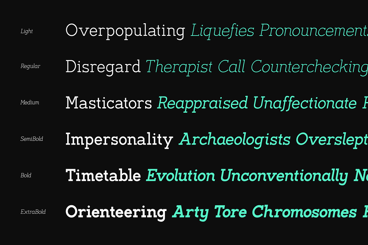 Noirda Slab Serif, a Slab Serif Font by Hanaksara Studio (Photo 3 of 11)