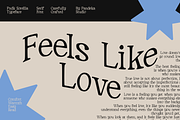 Soreille - Soulful Serif Font, a Serif Font by Pandeka Studio (Thumbnail 7 of 9)
