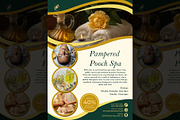 Luxurious Spa flyer template, a Flyer Template by kamalrawat_gd (Thumbnail 1 of 2)
