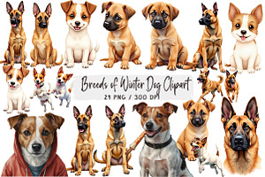 Breeds of Winter Dog Clipart Bundle, an Illustration by DreamArtGraphic