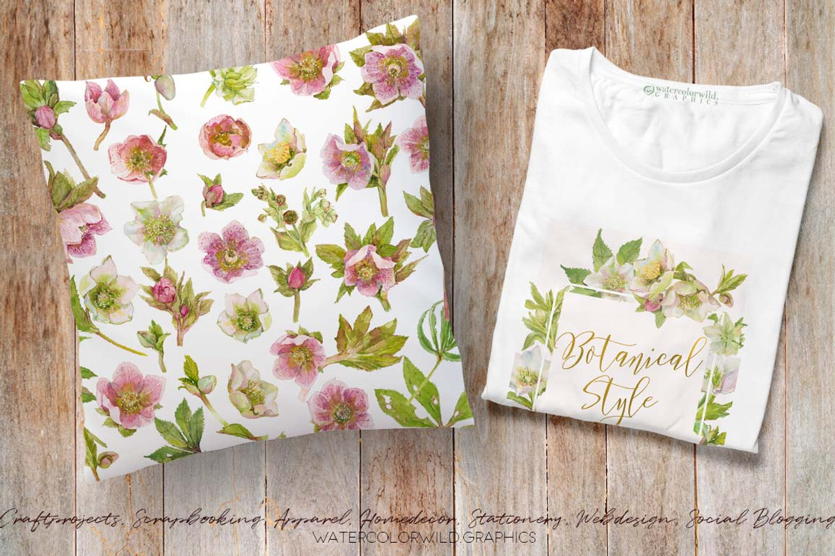 Pink Hellebore-Floral Clipart, an Illustration by watercolorwild.graphics (Photo 5 of 6)