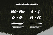 Austten Script, a Script Font by Wacaksara Co. (Thumbnail 3 of 8)