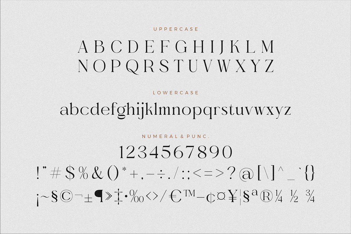 Gealova Modern Serif Font, a Serif Font by Storytype Studio (Photo 12 of 15)
