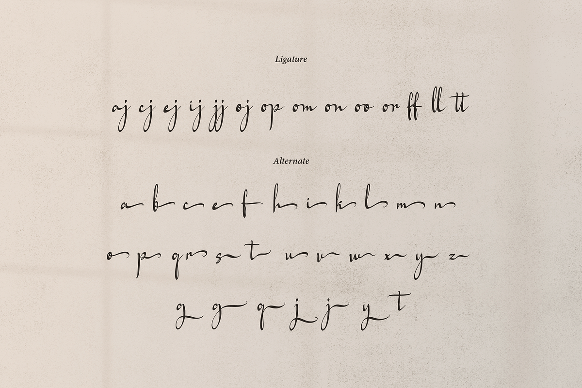 Artajliya | Handwritten Signature, a Script Font by Denustudios (Photo 14 of 15)
