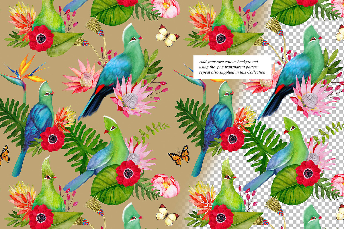 Exotic Wilderness, a Decorative Illustration by Dana Designs (Photo 11 of 18)